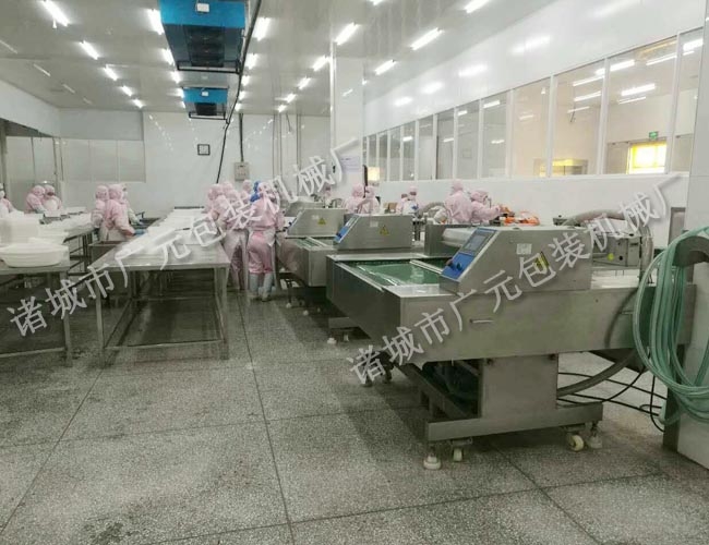 1000型全自動真空包裝機(jī)