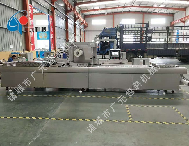 拉伸膜全自動真空包裝機（DZDL-420型）