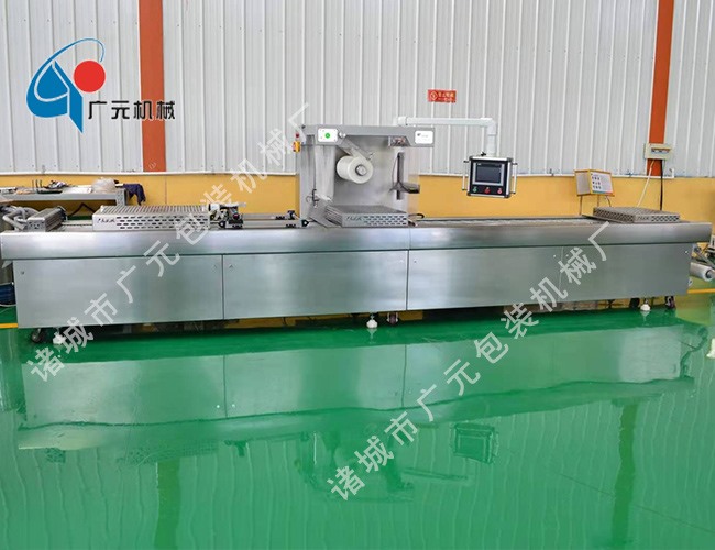 拉伸膜全自動(dòng)真空包裝機(jī)(DZDL-520型)