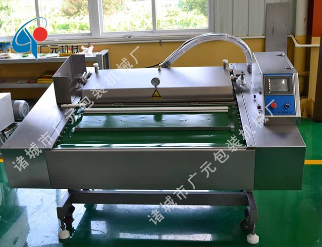 粽子用真空包裝機(jī)(DZD-1000型)