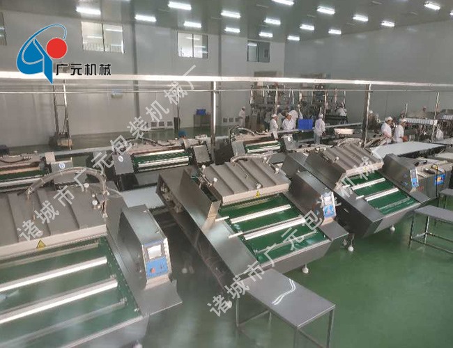 滾動(dòng)式真空包裝機(jī)(DZD-1100觸摸屏)